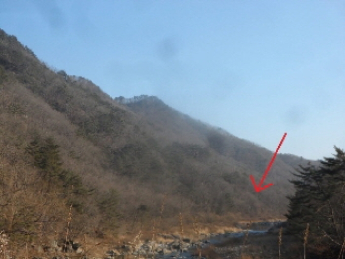 2024타경2065 임야 · 강원특별자치도 영월군 무릉도원면