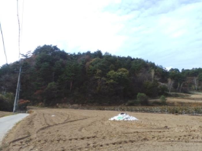 2024타경32509 임야 · 강원특별자치도 평창군 용평면