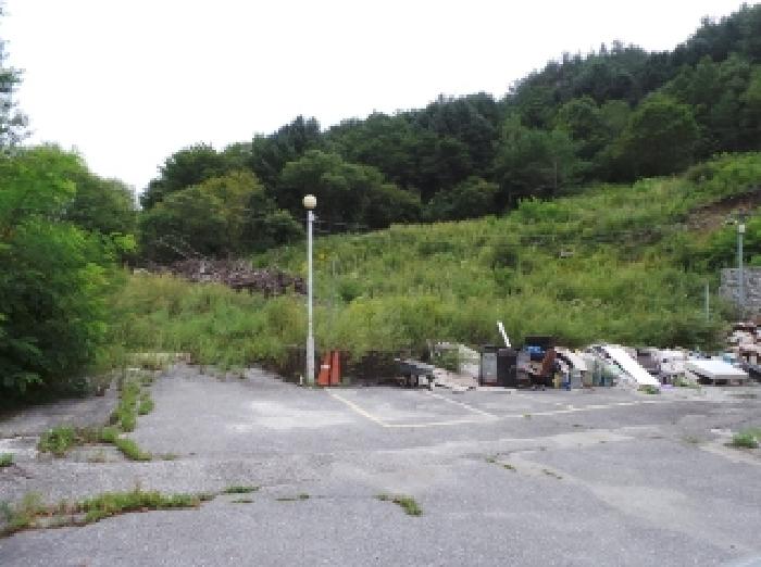2025타경1168 임야 · 강원특별자치도 정선군 고한읍 고한리 165-11
