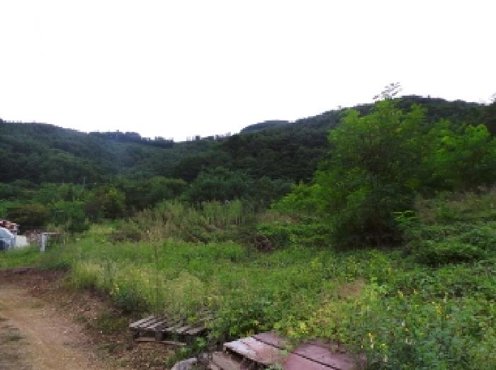 2025타경1267 대지 · 강원특별자치도 영월군 산솔면