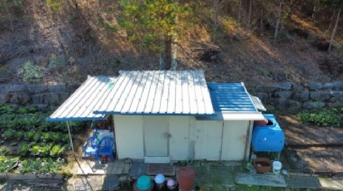 2025타경1403 임야 · 강원특별자치도 정선군 사북읍 사북리 산153-37