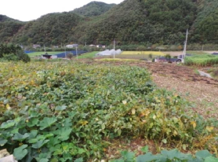 2025타경1489 · 강원특별자치도 평창군 평창읍 이곡리 114-1