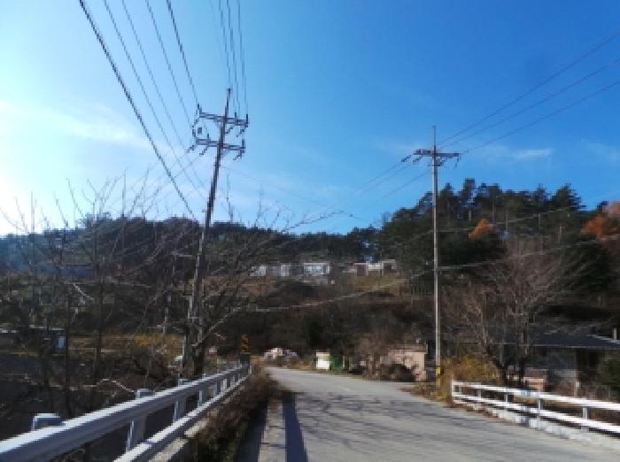 2025타경1588 임야 · 강원특별자치도 평창군 대관령면 유천리 산524