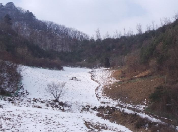 2025타경30128 임야 · 강원특별자치도 정선군 화암면 백전리 산368