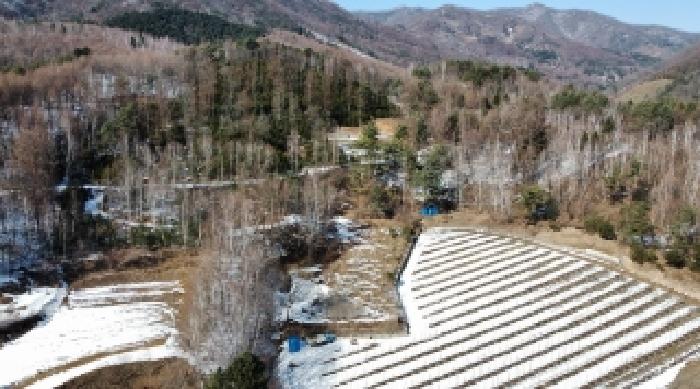 2025타경30360 임야 · 강원특별자치도 평창군 봉평면