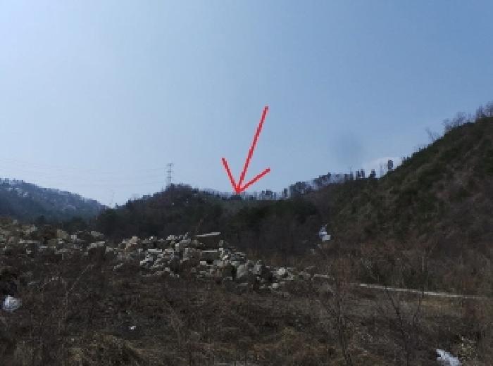 2025타경30375 임야 · 강원특별자치도 평창군 봉평면 진조리 산187
