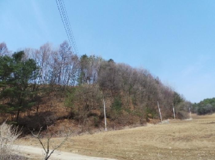 2025타경30393 임야 · 강원특별자치도 평창군 봉평면