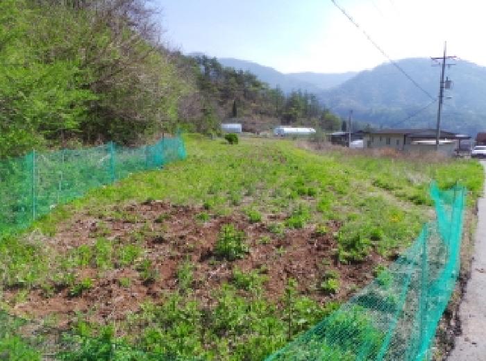 2025타경30421 · 강원특별자치도 영월군 북면 공기리 1501-1