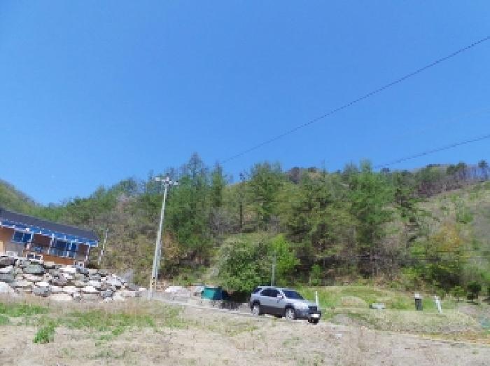 2025타경30440 임야 · 강원특별자치도 정선군 화암면 화암리 산461