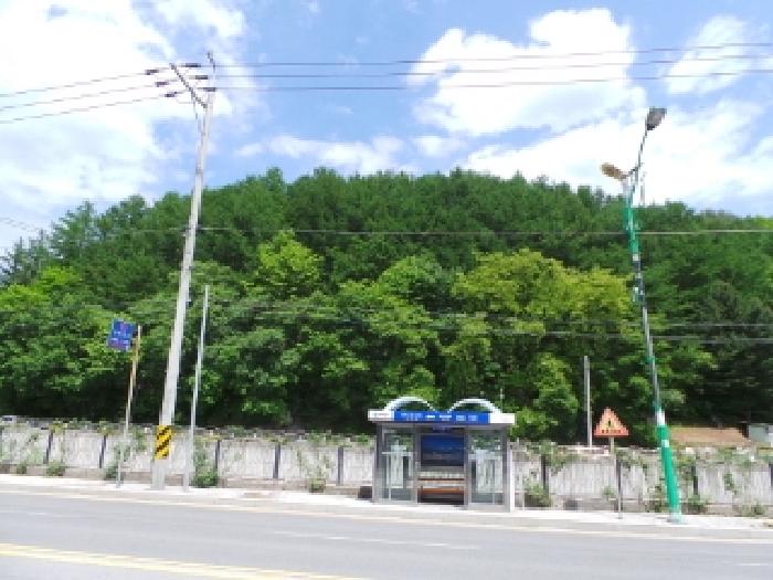2025타경30464 임야 · 강원특별자치도 태백시 황지동 산10-9