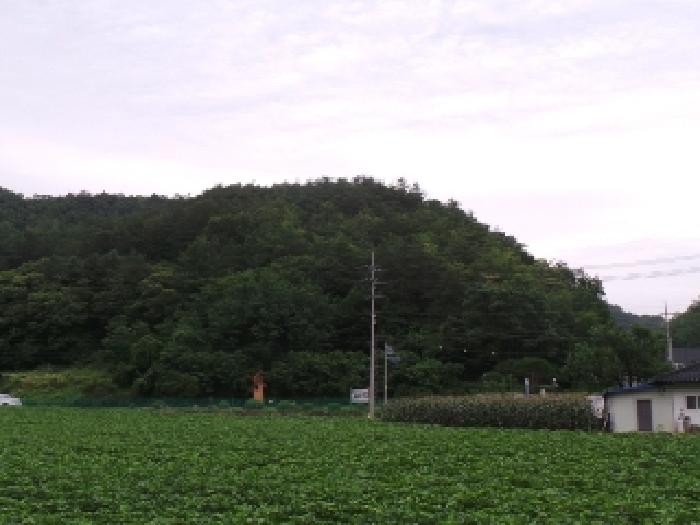 2025타경30497 임야 · 강원특별자치도 영월군 남면