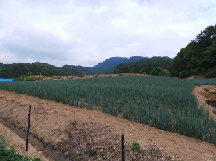 2025타경30507 전답 · 강원특별자치도 평창군 진부면