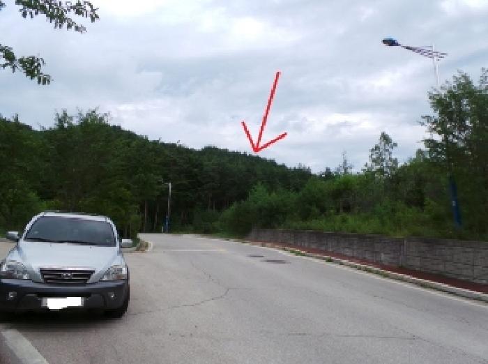 2025타경30529 임야 · 강원특별자치도 태백시 황지동
