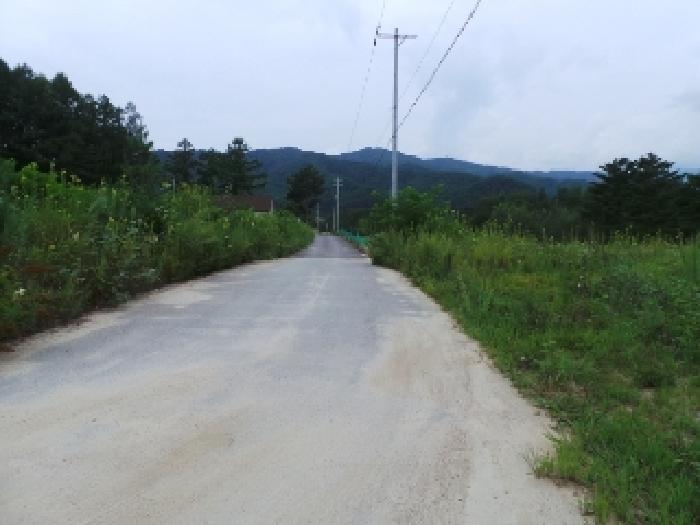 2025타경30548 대지 · 강원특별자치도 평창군 진부면
