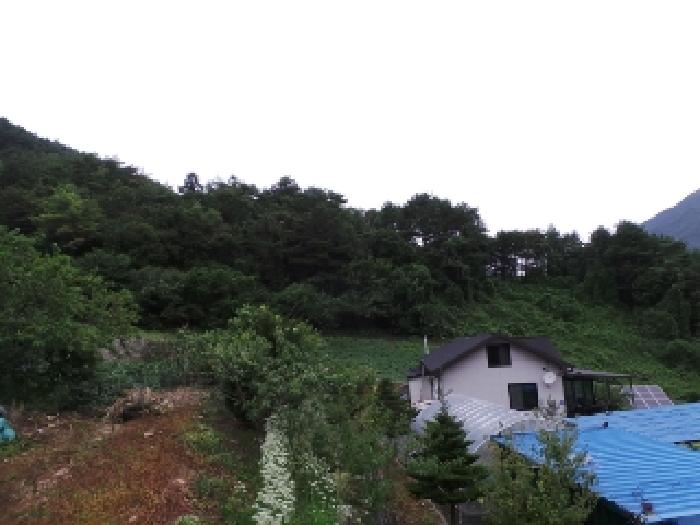 2025타경30552 · 강원특별자치도 평창군 대화면 상안미리 608-2