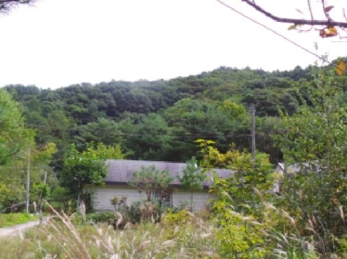 2025타경30588 임야 · 강원특별자치도 평창군 봉평면