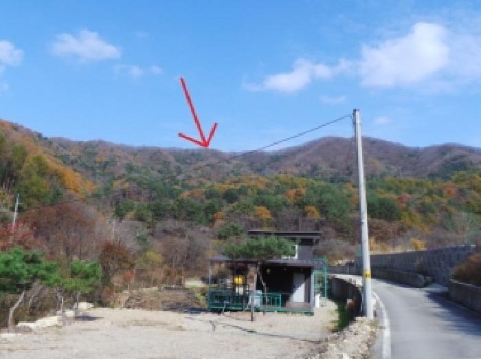 2025타경30595 임야 · 강원특별자치도 평창군 봉평면 흥정리 산6-2
