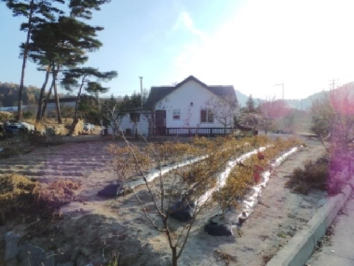 2025타경30631 · 강원특별자치도 평창군 진부면 송정리 2241-1 제1동