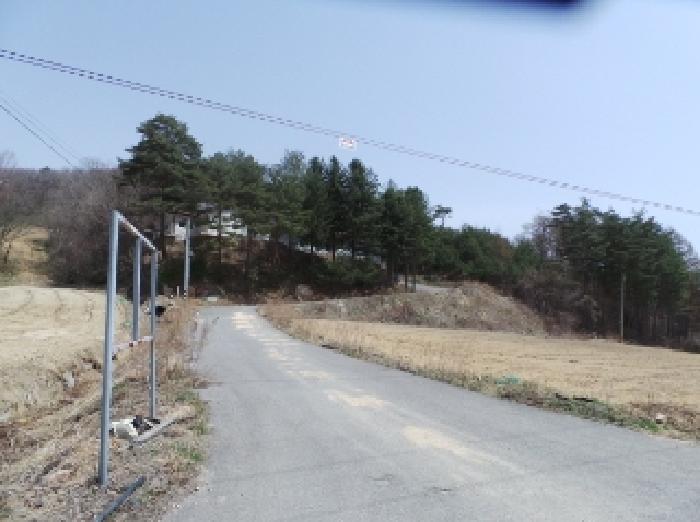 2025타경431 · 강원특별자치도 평창군 대관령면