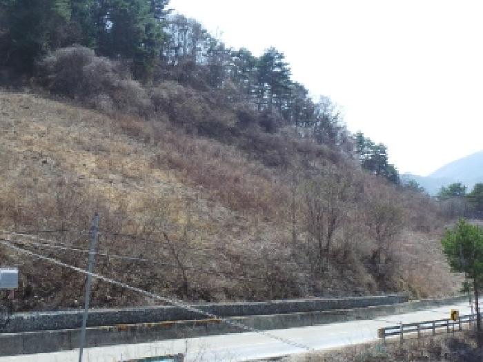 2025타경592 전답 · 강원특별자치도 정선군 남면