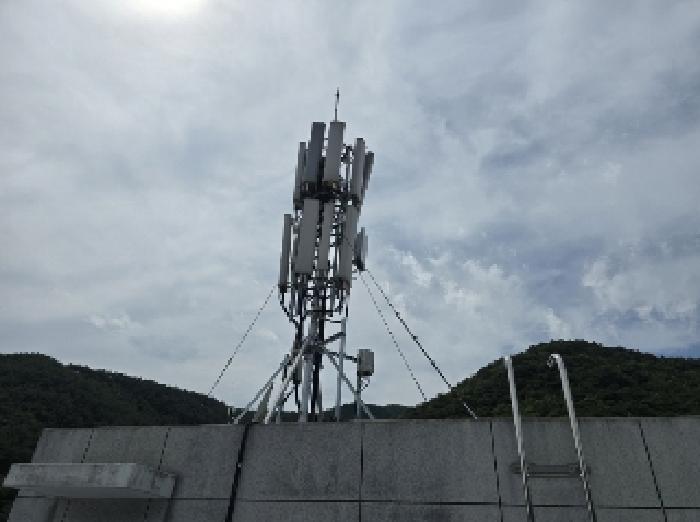2025타경2463 대지 · 충청북도 보은군 속리산면 사내리 310-5