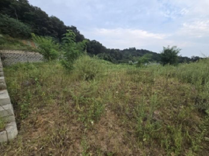2025타경4100 임야 · 충청북도 진천군 광혜원면 금곡리 산6-2