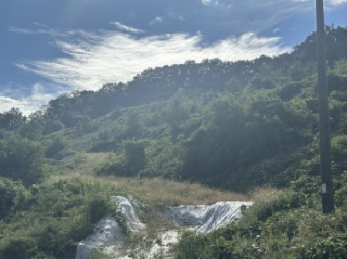 2025타경4513 임야 · 충청북도 괴산군 괴산읍