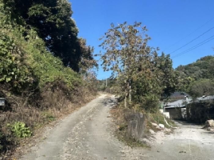 2025타경4957 임야 · 충청북도 괴산군 장연면 장암리 산3-5