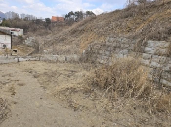 2025타경50462 임야 · 충청북도 청주시 상당구 용정동 산43-7