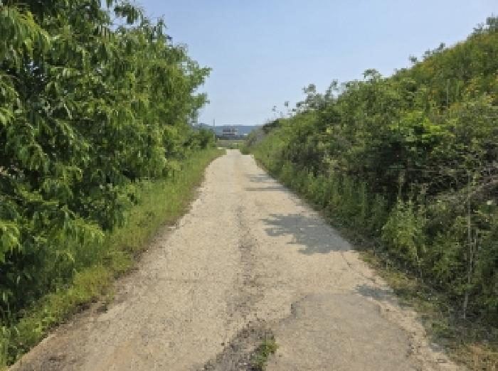 2025타경51229 임야 · 충청북도 청주시 상당구 가덕면