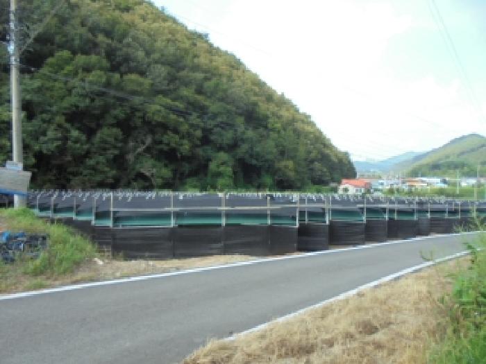 2025타경51637 전답 · 충청북도 보은군 산외면 오대리 439