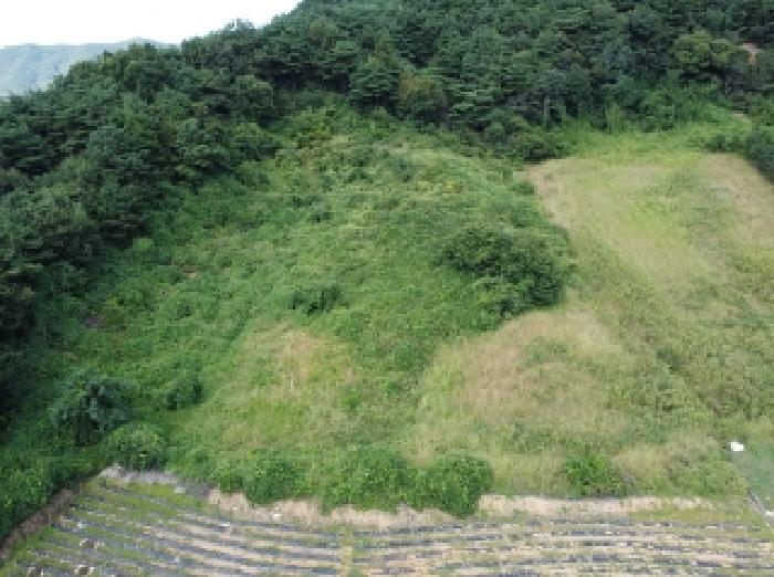 2025타경51649 · 충청북도 보은군 산외면 백석리 8-18