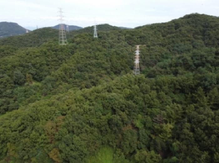 2025타경51650 임야 · 충청북도 진천군 진천읍 교성리 산32-1