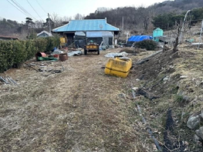 2025타경51661 대지 · 충청북도 보은군 보은읍 노티리 521-1