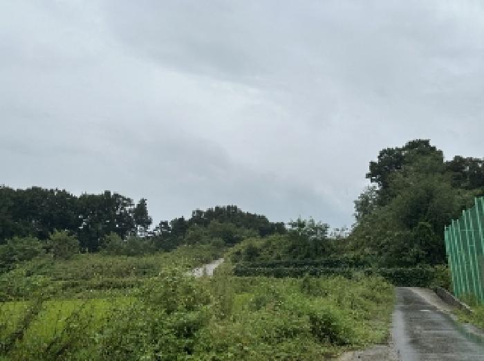2025타경51689 대지 · 충청북도 괴산군 청안면