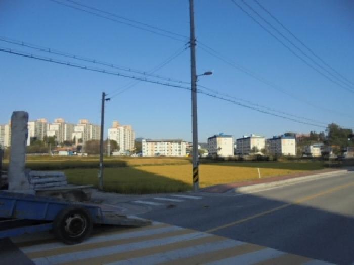 2025타경51868 대지 · 충청북도 보은군 보은읍