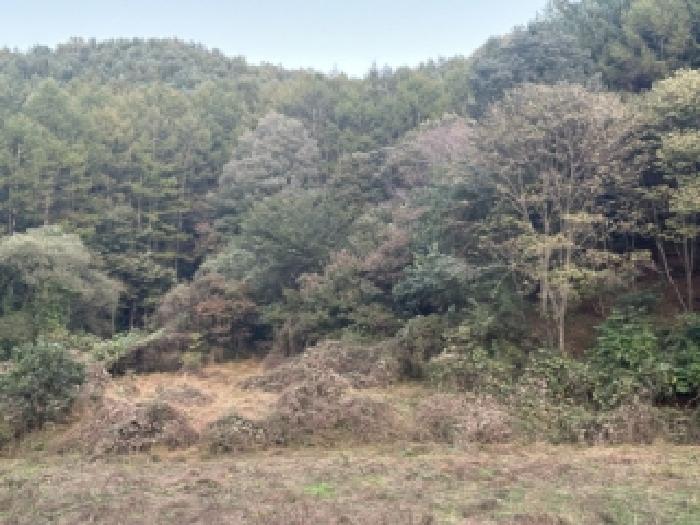 2025타경51874 전답 · 충청북도 괴산군 청안면