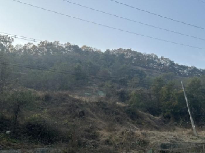 2025타경51921 임야 · 충청북도 괴산군 괴산읍 신기리 산18-17