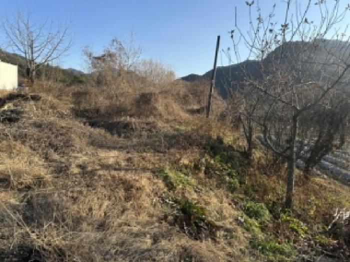 2025타경52041 전답 · 충청북도 괴산군 청천면