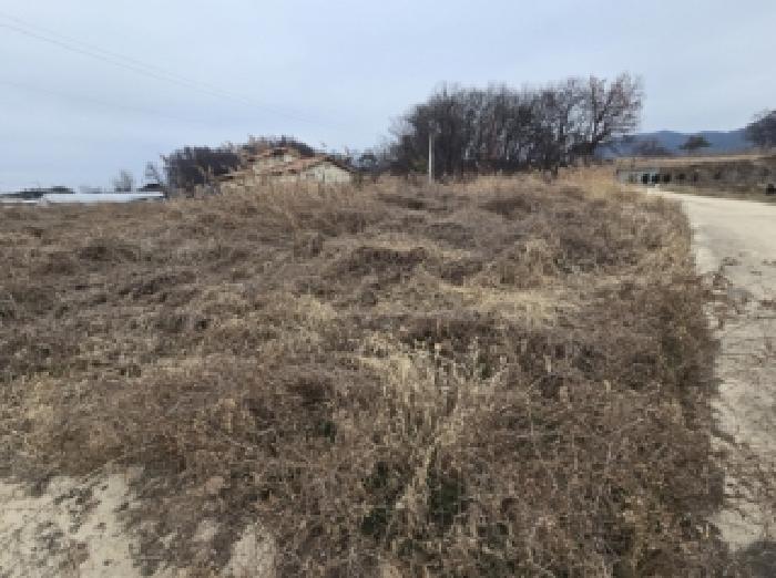 2025타경52137 전답 · 충청북도 진천군 덕산읍 구산리 236-6