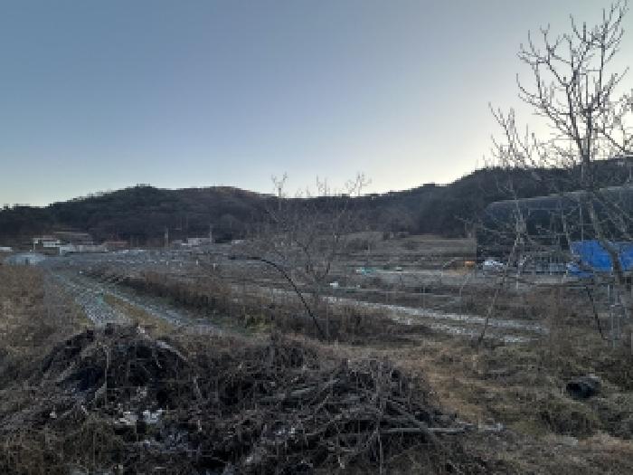 2025타경52147 전답 · 충청북도 괴산군 불정면