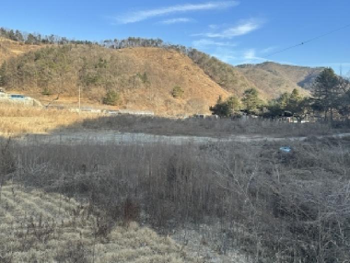 2025타경52156 전답 · 충청북도 괴산군 청안면