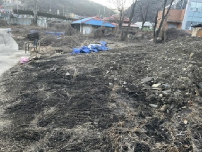 2025타경52173 대지 · 충청북도 보은군 회인면