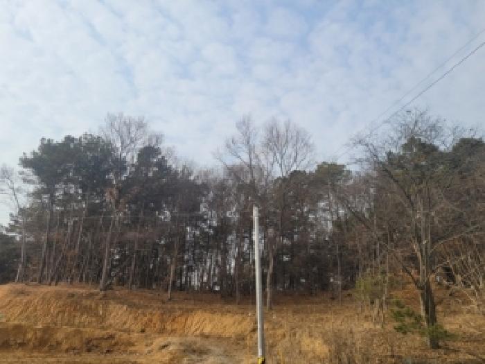 2025타경52182 임야 · 충청북도 청주시 흥덕구 동막동 산46