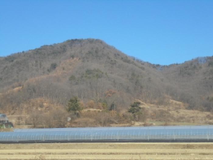 2025타경52186 임야 · 충청북도 청주시 흥덕구 옥산면