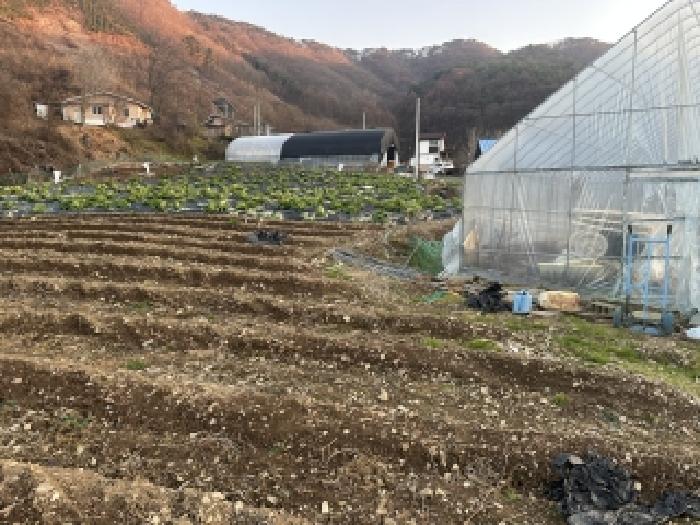 2025타경5363 · 충청북도 괴산군 문광면 옥성리 394-1