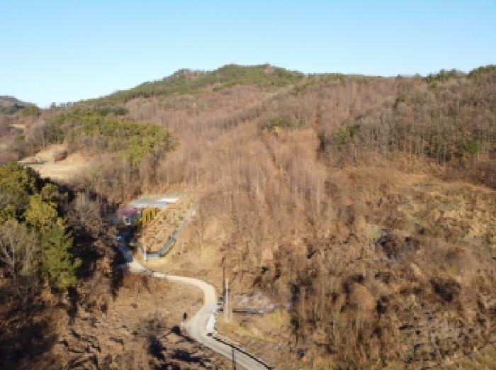 2025타경5622 임야 · 충청북도 보은군 보은읍