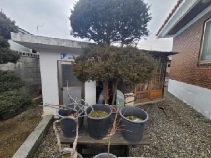 2025타경5875 대지 · 충청북도 괴산군 청천면 청천리 57-4