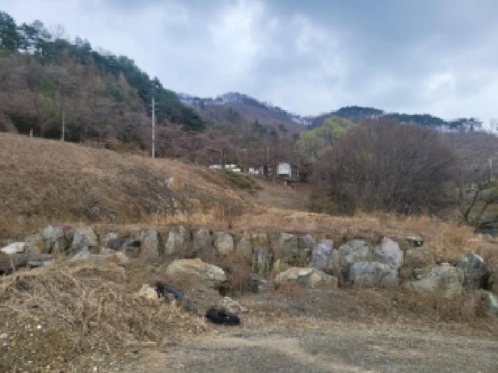 2026타경104 임야 · 충청북도 청주시 청원구 내수읍 초정리 산37-18