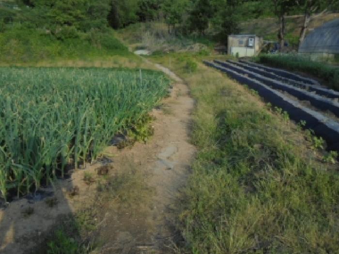 2026타경157 대지 · 충청북도 청주시 흥덕구 강내면 학천리 45